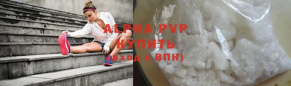 индика Нязепетровск
