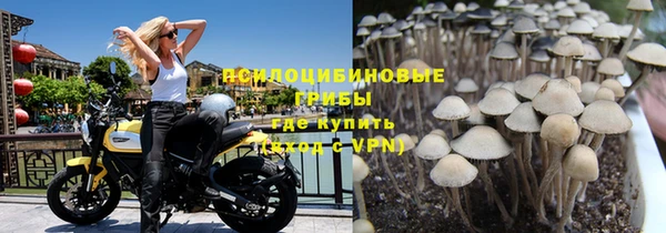 прущая мука Осинники