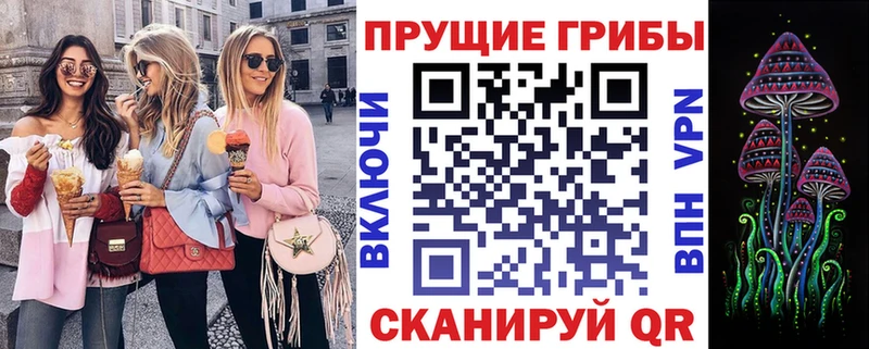 как найти наркотики Краснокамск Галлюциногенные грибы Psilocybe