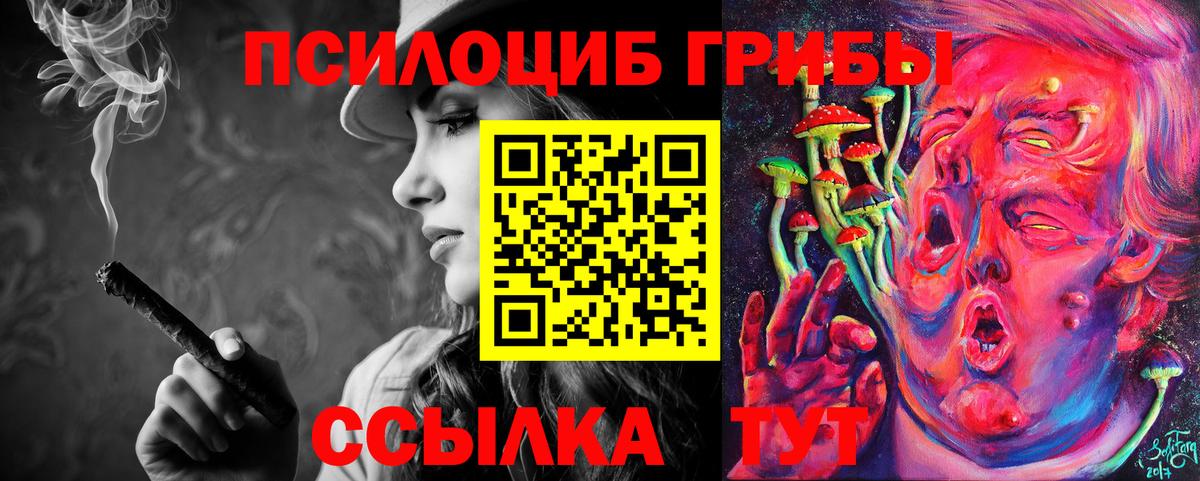 Псилоцибиновые грибы Psilocybe  Краснокамск  сколько стоит  Псилоцибиновые грибы Psilocybine cubensis 