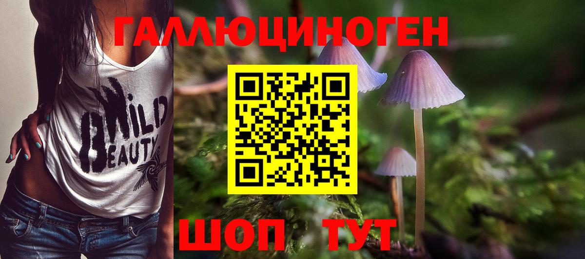 Псилоцибиновые грибы GOLDEN TEACHER  что такое наркотик  Краснокамск  Вход с VPN 