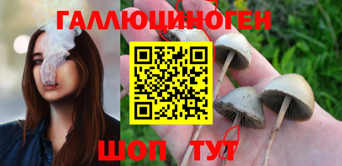 Псилоцибиновые грибы Cubensis Краснокамск